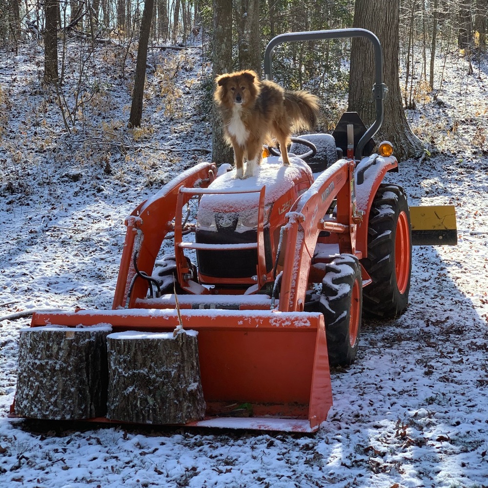 Meet your Posher, Steven